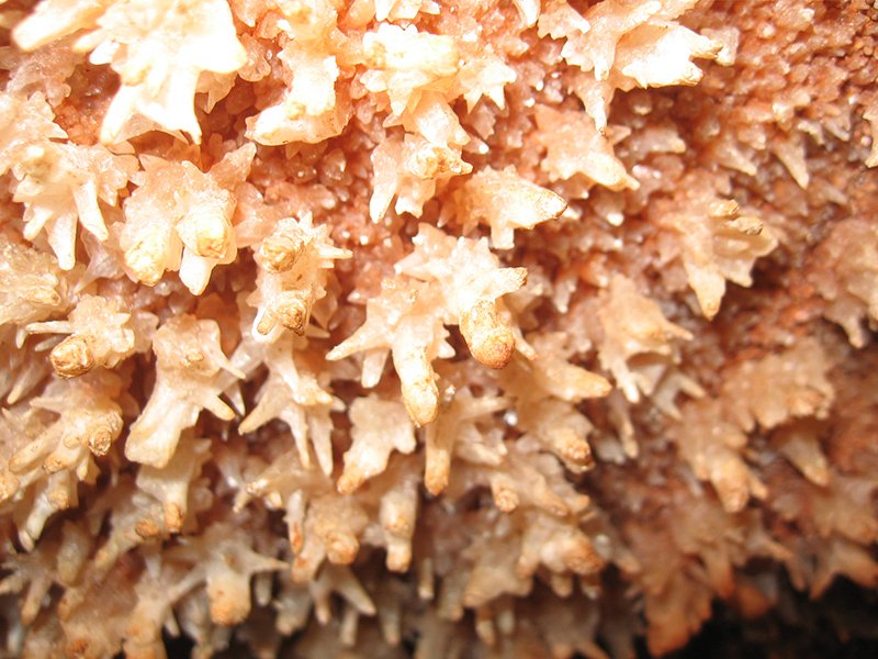 beljanica