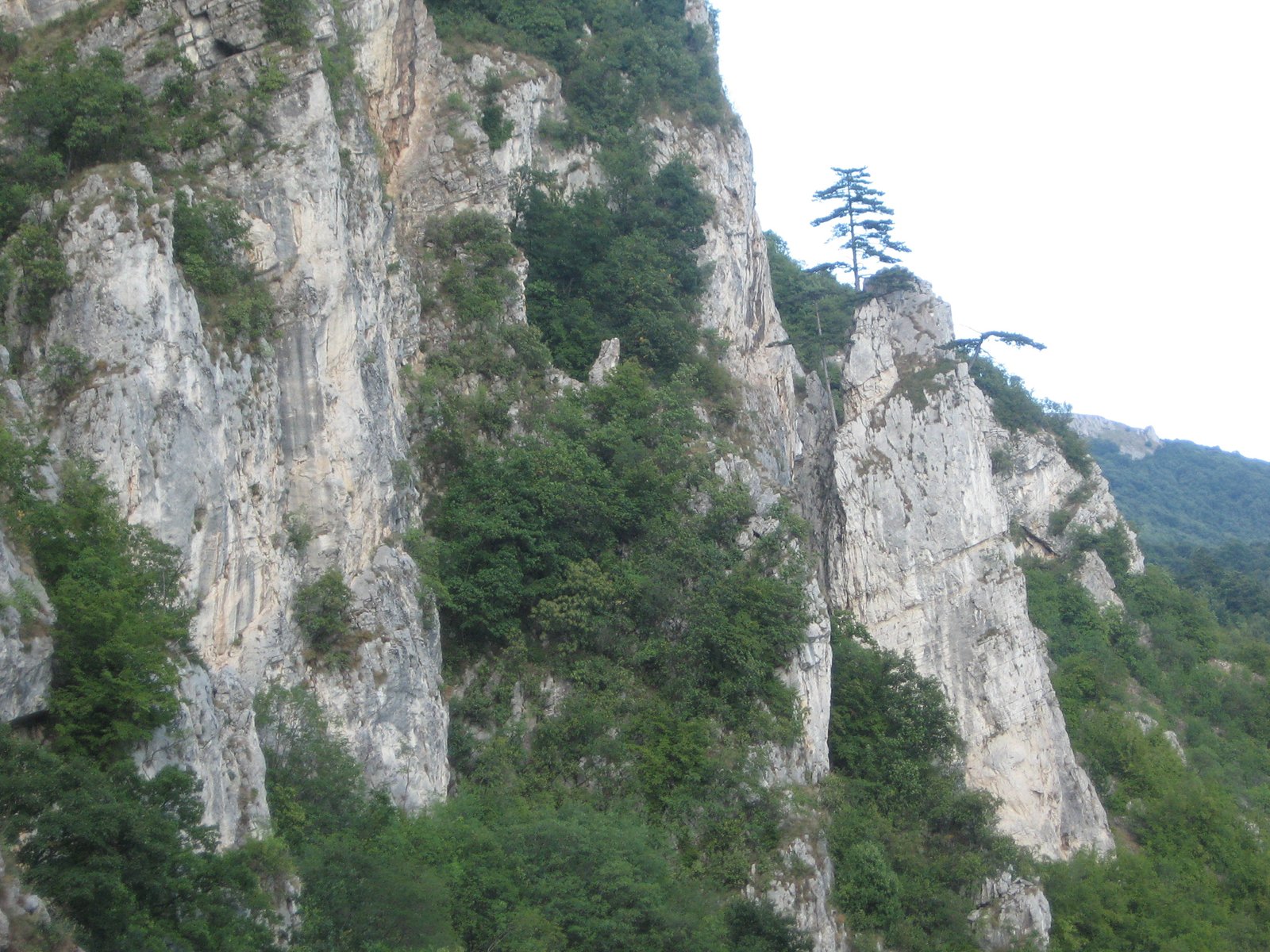 beljanica