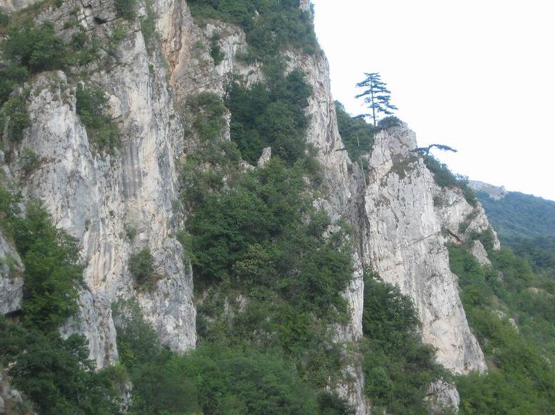 beljanica