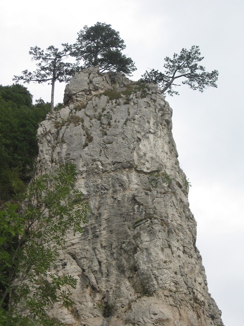 beljanica