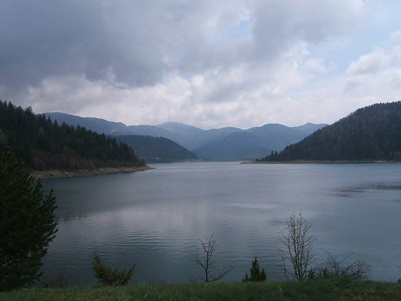 bjeluša-gaj-