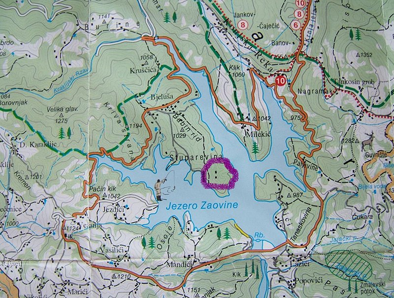 bjeluša-gaj-