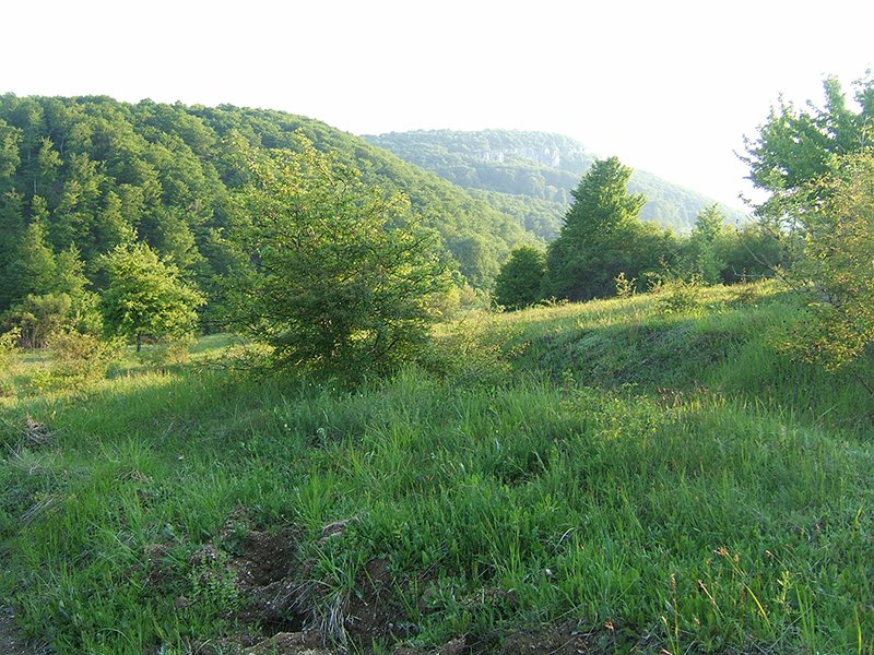 dolina-mikuljske-reke