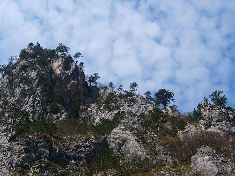 klisura-sutjeske