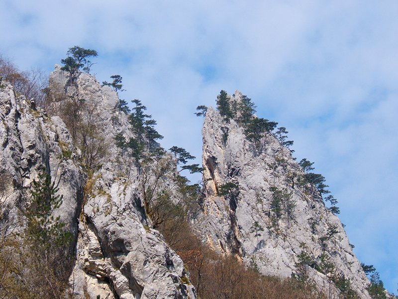 klisura-sutjeske
