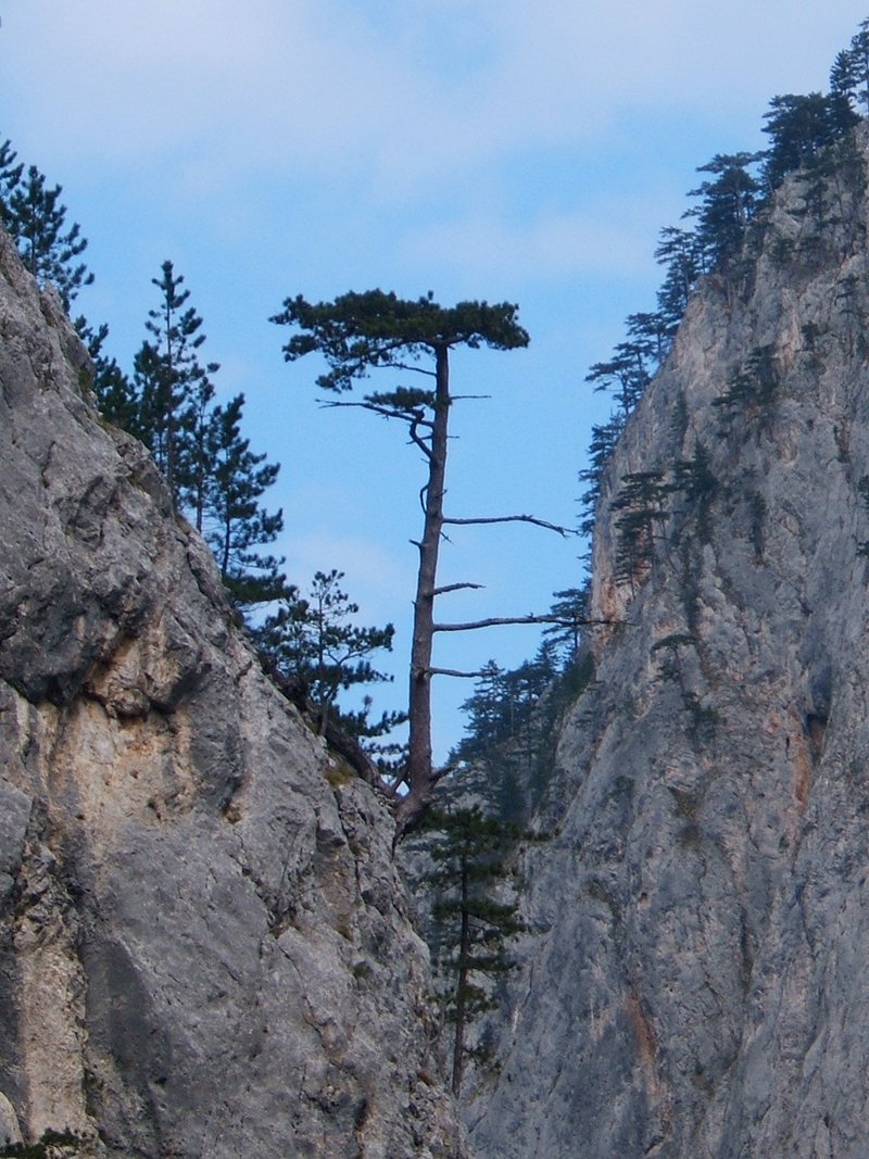 klisura-sutjeske