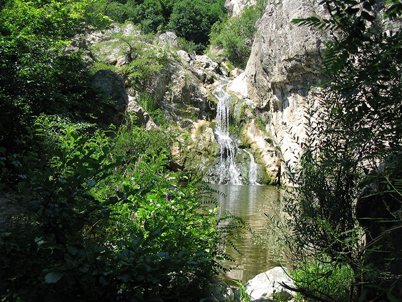 mokranje