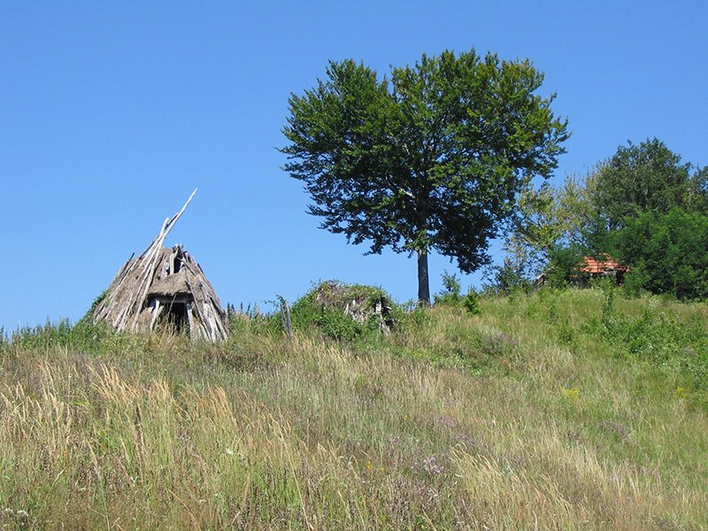 Odorovačko polje