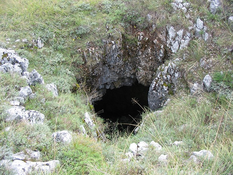 Odorovačko polje