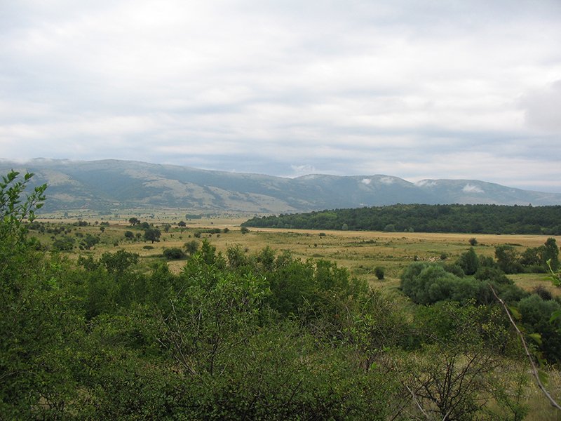 Odorovačko polje