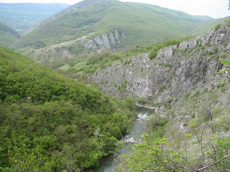 rsovci