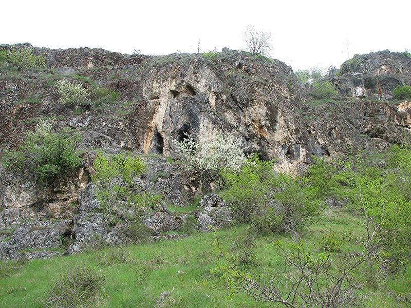 rsovci