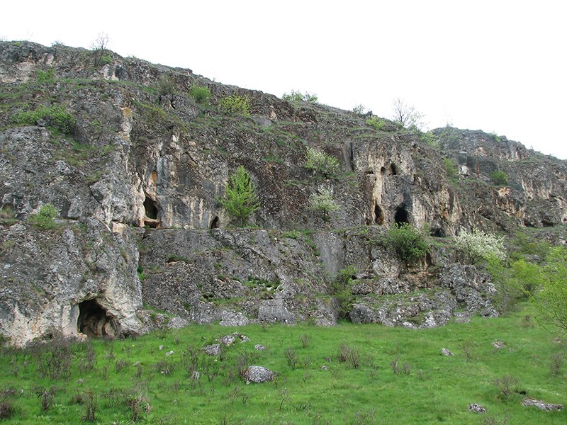 rsovci