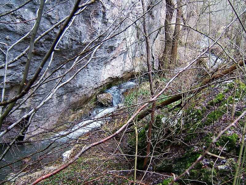 sesalačka pećina