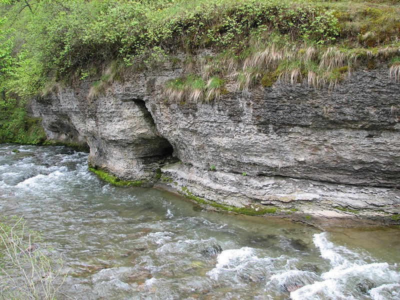 Visočka Ržana - Stara Planina