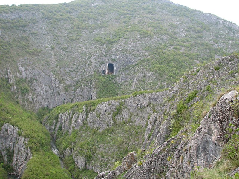 Vladikina ploča