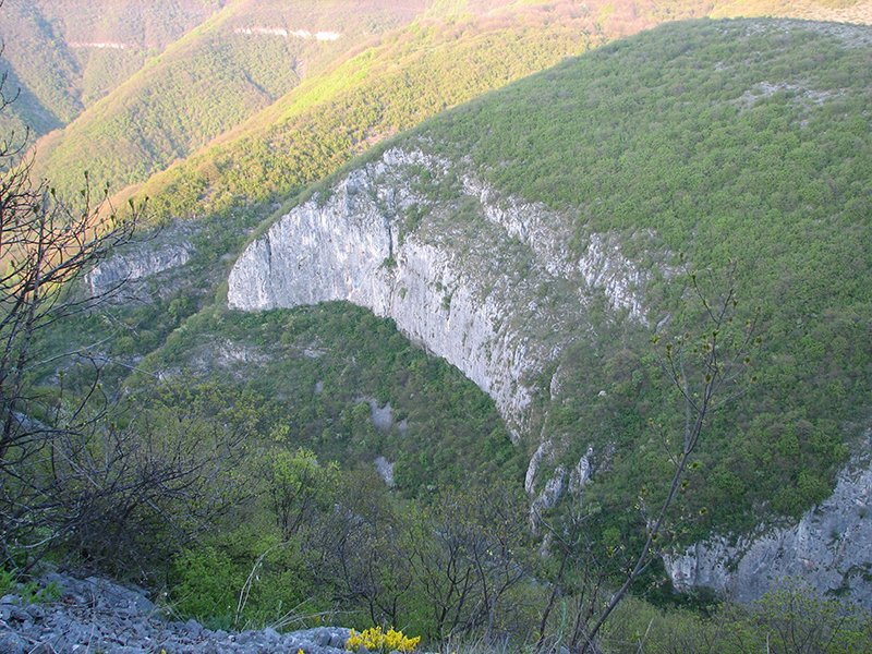 Vladikina ploča